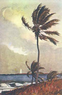 Winslow Homer Palm Tree, Nassau China oil painting art